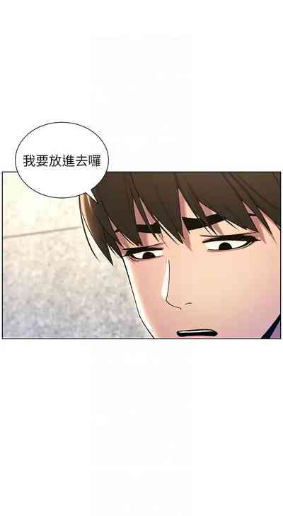 第447頁圖