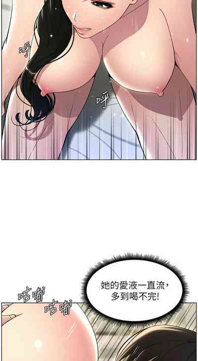 第511頁圖