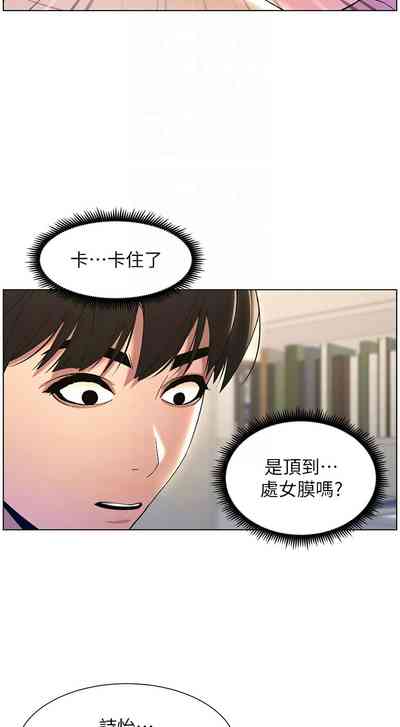 第519頁圖