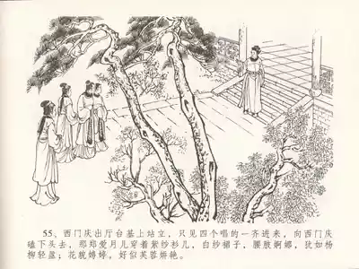 第59頁圖