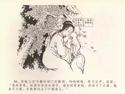 第59頁圖