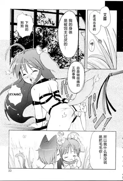 第55頁圖
