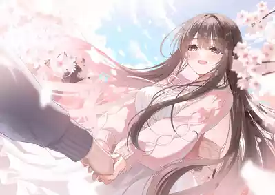 第35頁圖