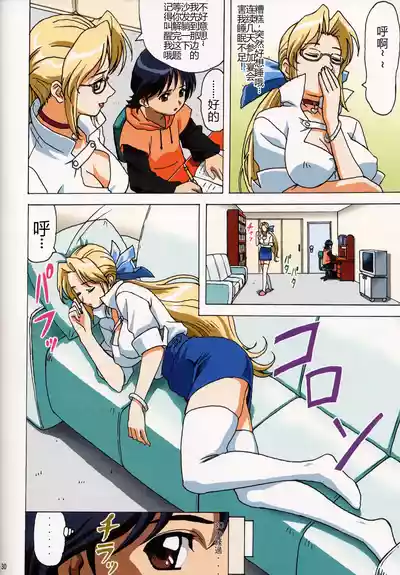 第31頁圖