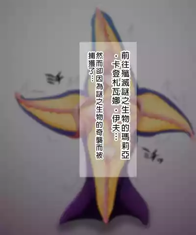 第31頁圖