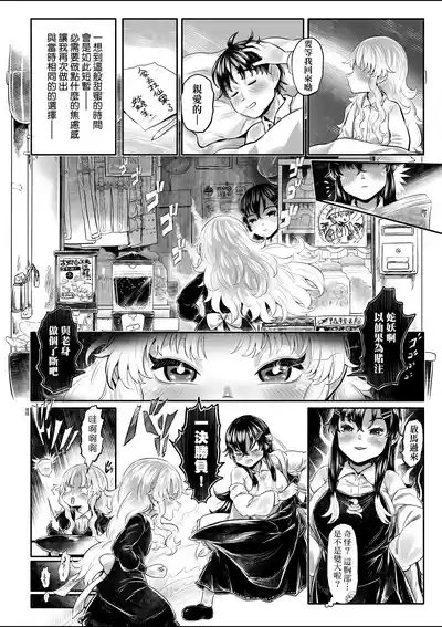 第223頁圖