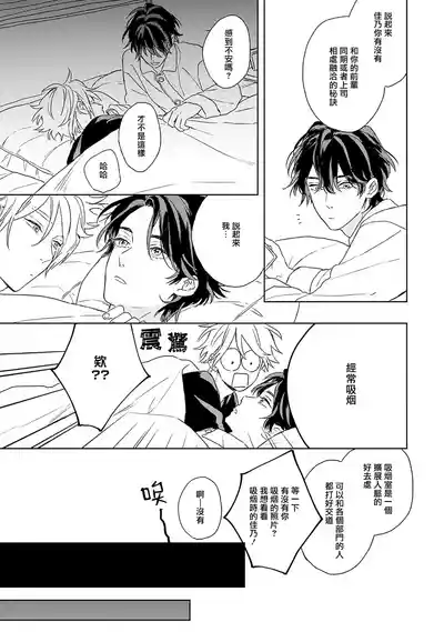 第31頁圖