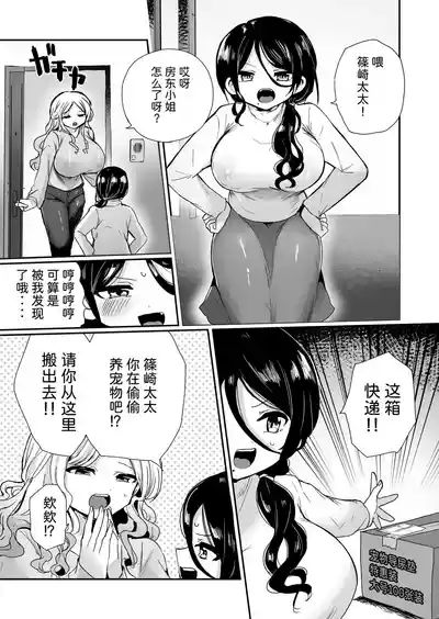 第3页图