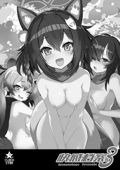 第3页图