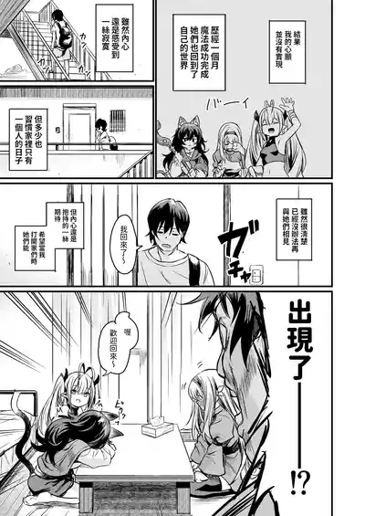 第43頁圖