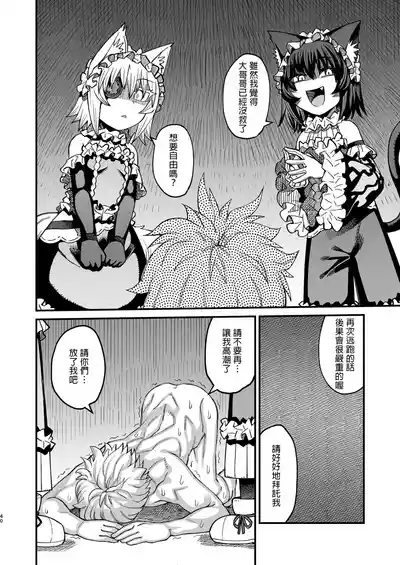 第39頁圖
