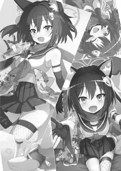 第3页图