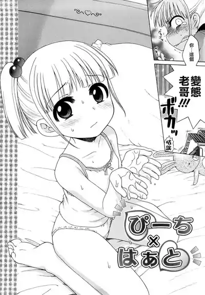 第139頁圖