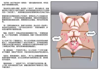 第43頁圖