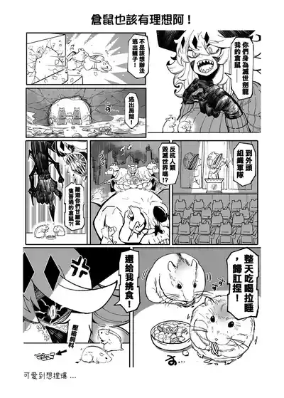 第243頁圖