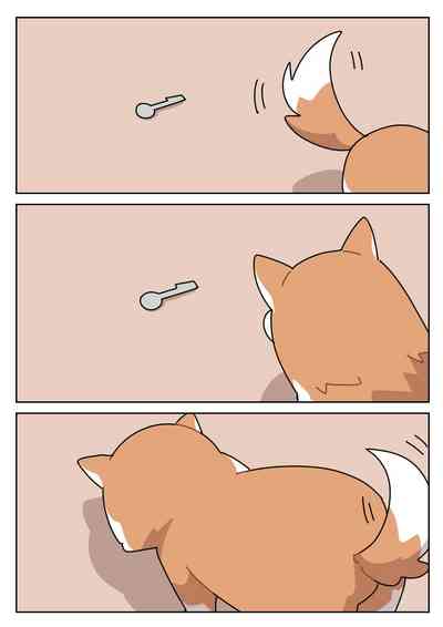 第3页图