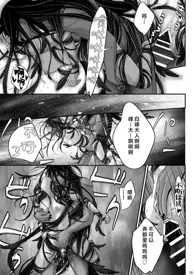 第55頁圖