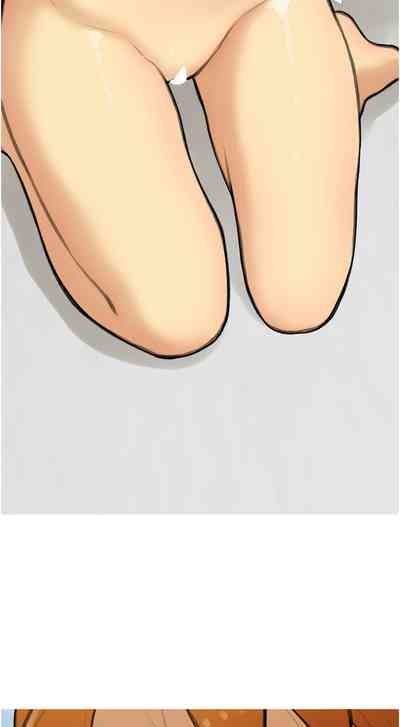 第339頁圖