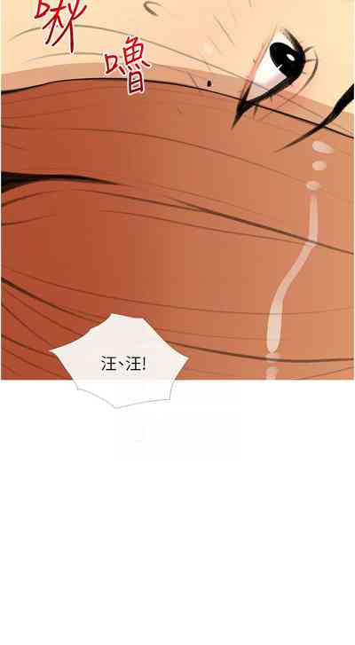 第343頁圖