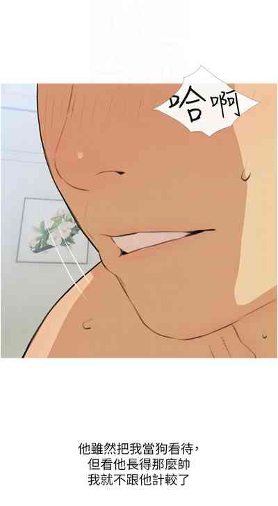 第355頁圖