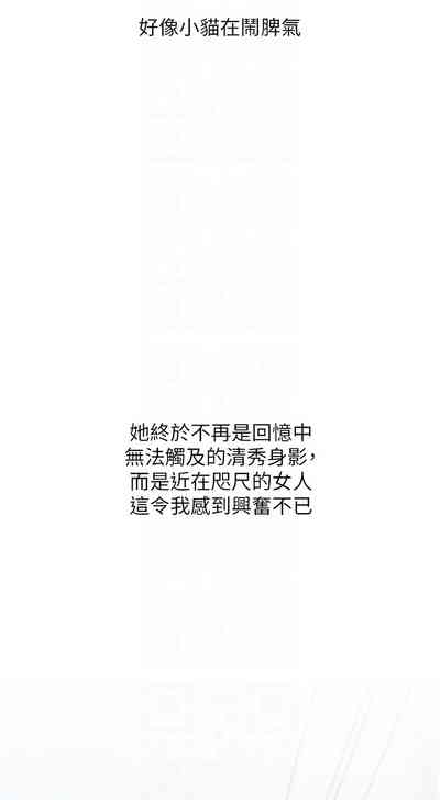 第43頁圖