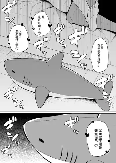 第103頁圖