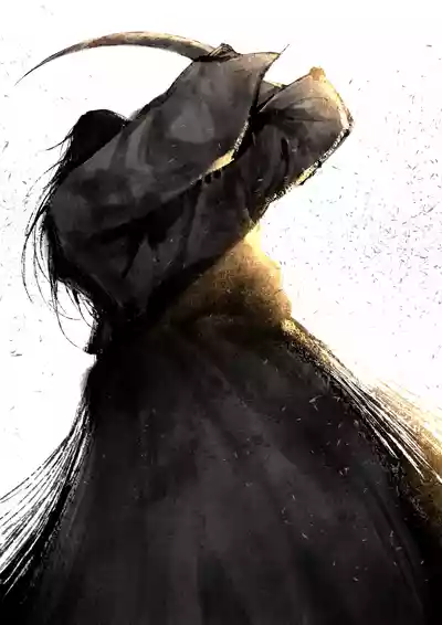 第291页图