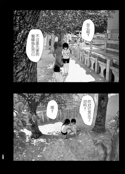第155頁圖