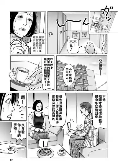 第87页图