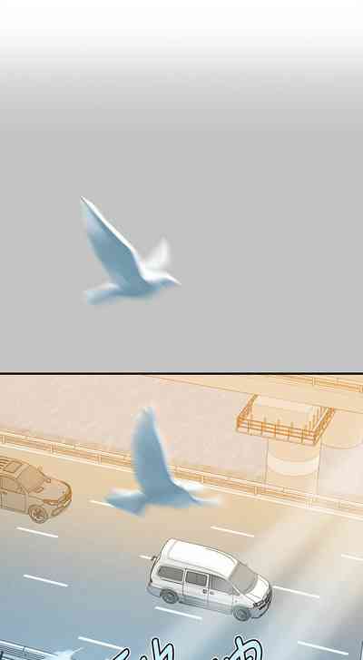 第59頁圖