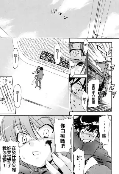 第51頁圖