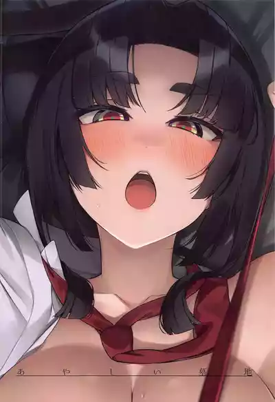 第27页图