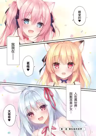 第3页图