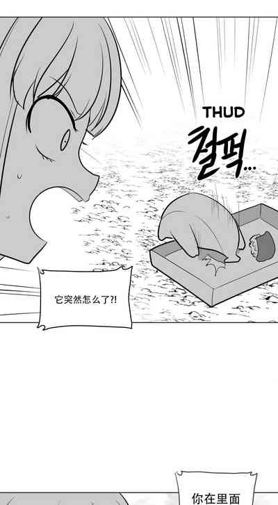 第279頁圖