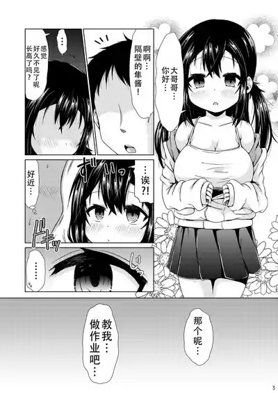 第3页图