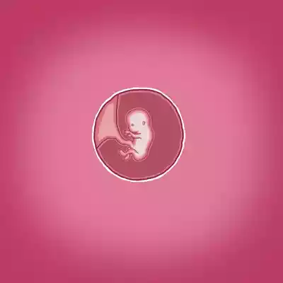第71頁圖