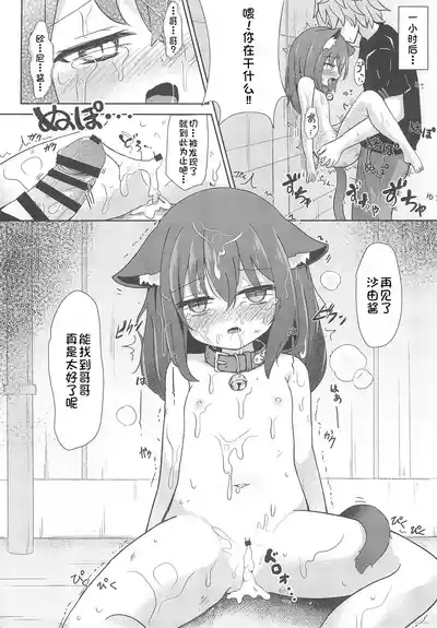 第11页图