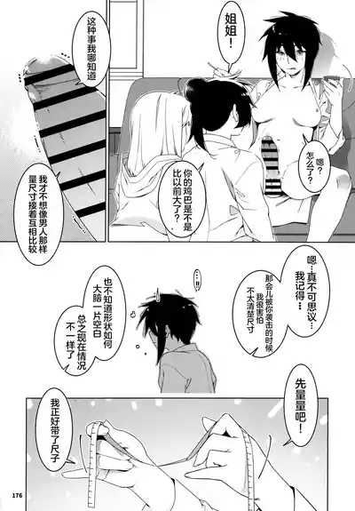 第175頁圖