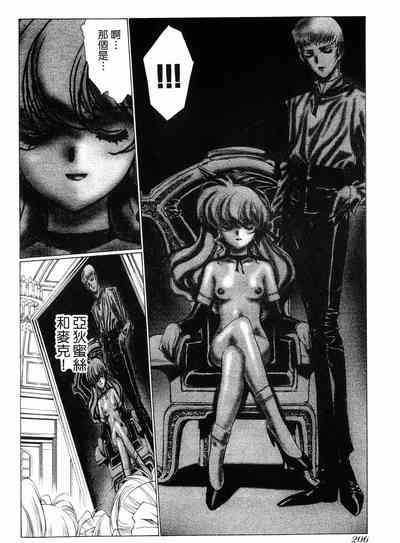第203頁圖
