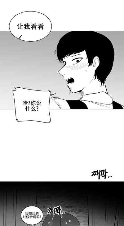 第215頁圖