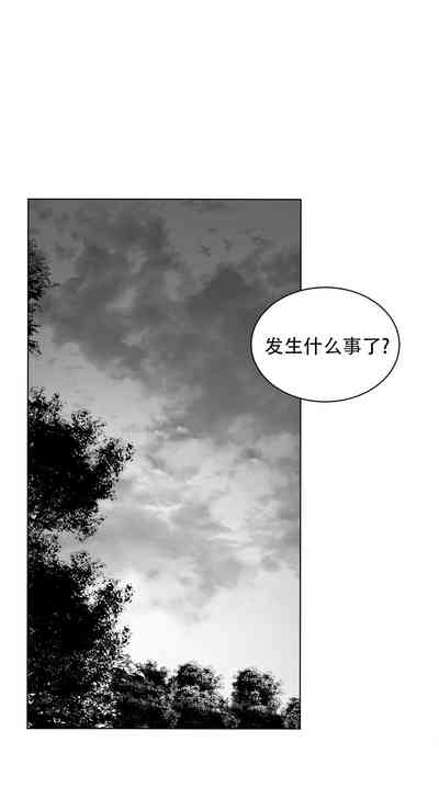 第335頁圖