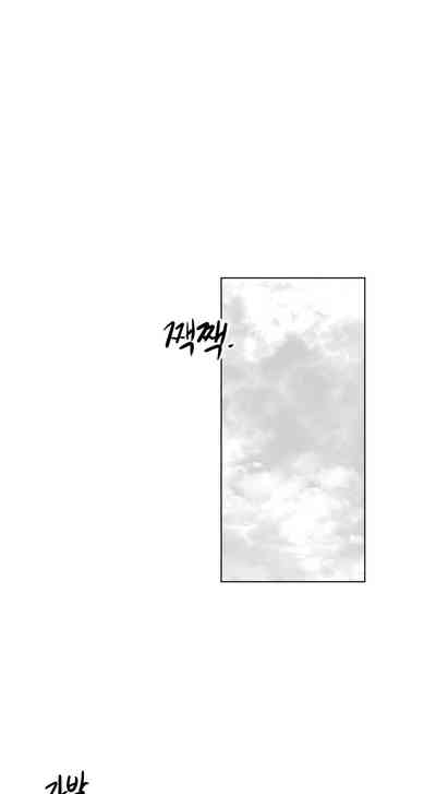 第339頁圖