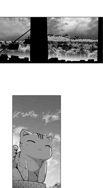 第559頁圖