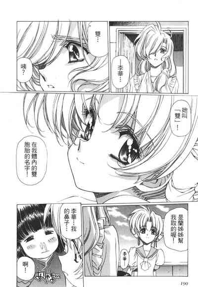 第191頁圖