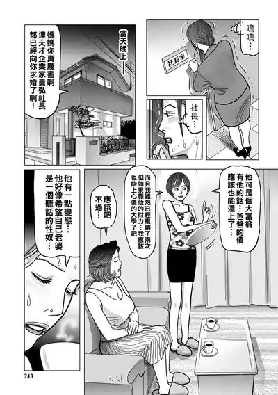 第243頁圖