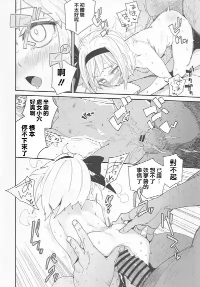 第19頁圖