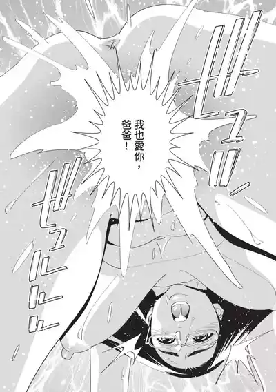 第155頁圖