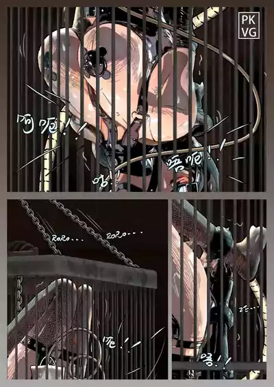第11页图