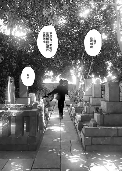 第271頁圖
