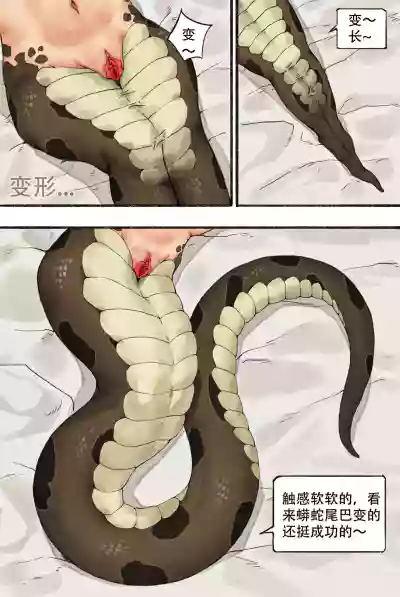 第3页图
